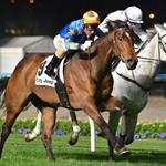 Long Face Grace heads to Pinker Pinker Plate after Moonee Valley win Long Face Grace heads to Pinker Pinker Plate after Moonee Valley win